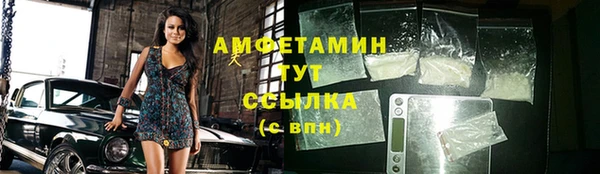 МДПВ Бородино