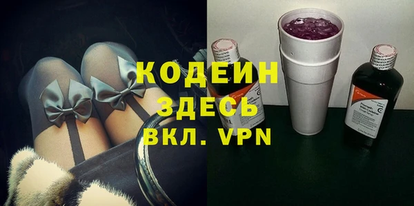 МДПВ Бородино