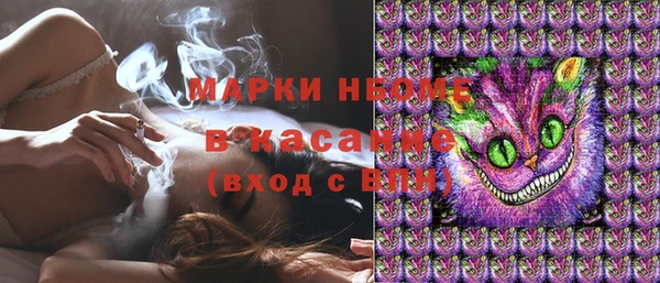 МДПВ Бородино