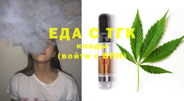 МДПВ Бородино