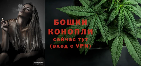 МДПВ Бородино