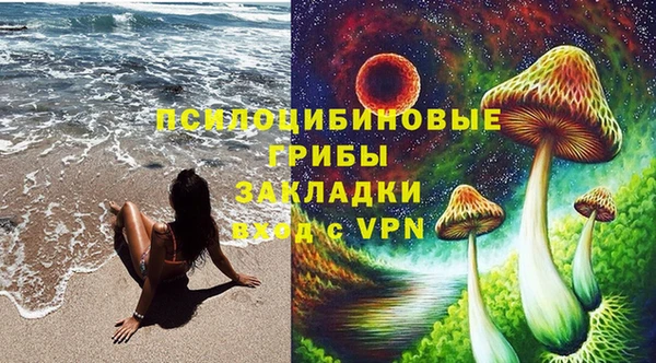 МДПВ Бородино